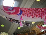 ���D�̑O�ɂ͌�̂ڂ�