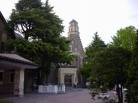 ���̌����ɑ嗁�ꂪ����܂�