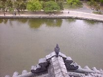 �������߁H