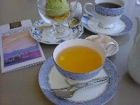 �����e�B�[�ł���