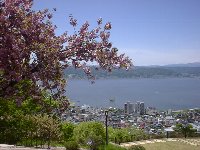 ���d�����炢�Ă��܂���