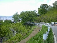 ���c�׎�����̊G�̗l�ȕ��i���L�����Ă��܂�