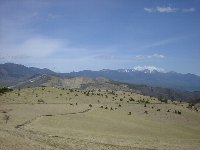 �C���������I